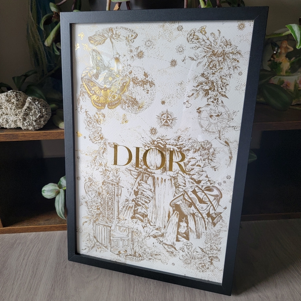 Framed - Limited Edition Authentic Dior Shopping Bag